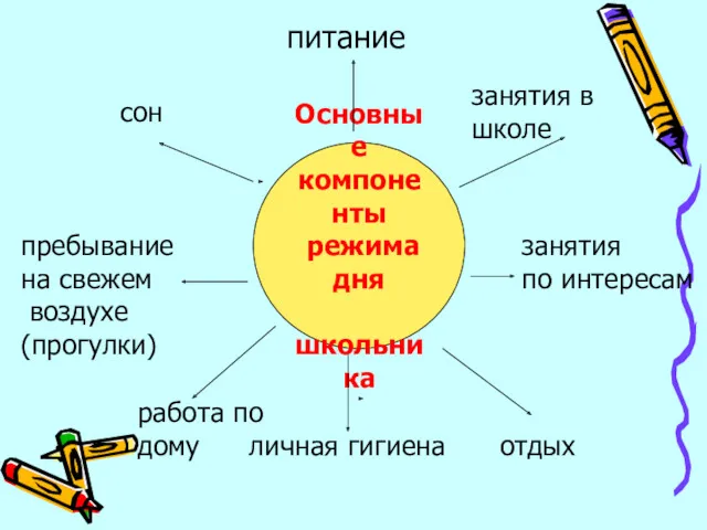 Основные компоненты режима дня школьника сон пребывание на свежем воздухе