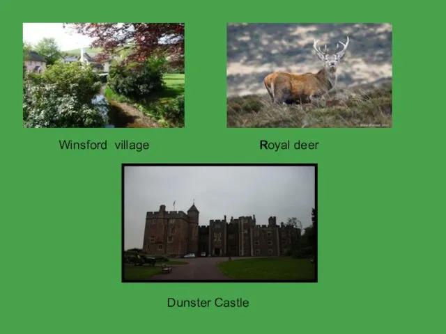 Winsford village Dunster Castle Royal deer