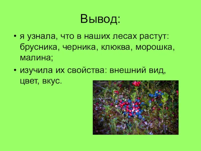 Вывод: я узнала, что в наших лесах растут: брусника, черника, клюква, морошка, малина;