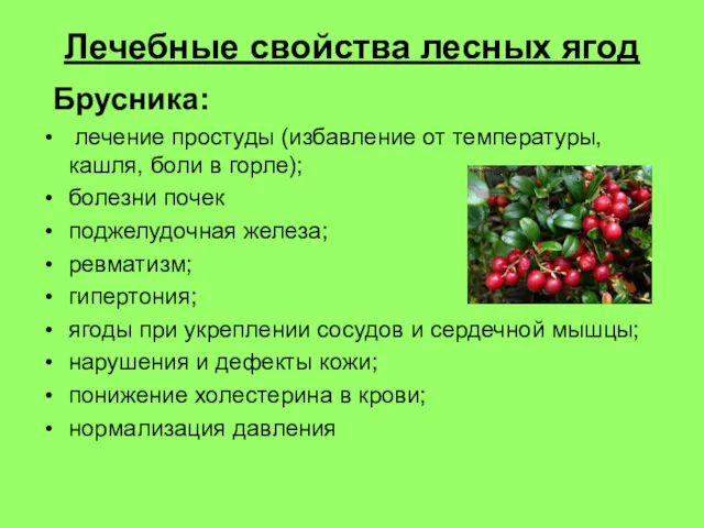 Лечебные свойства лесных ягод Брусника: лечение простуды (избавление от температуры,