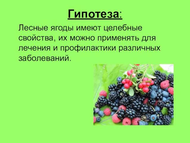 Гипотеза: Лесные ягоды имеют целебные свойства, их можно применять для лечения и профилактики различных заболеваний.