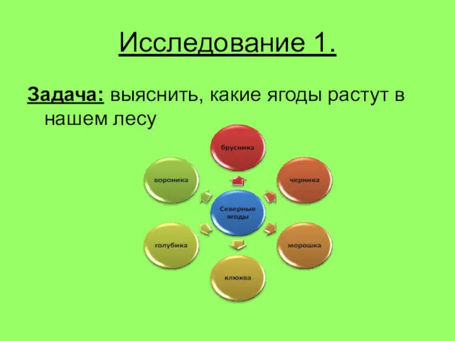 Исследование 1. Задача: выяснить, какие ягоды растут в нашем лесу