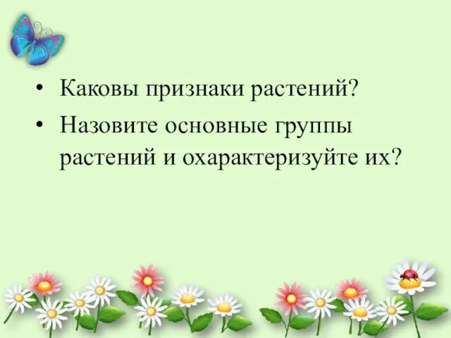 Каковы признаки растений? Назовите основные группы растений и охарактеризуйте их?