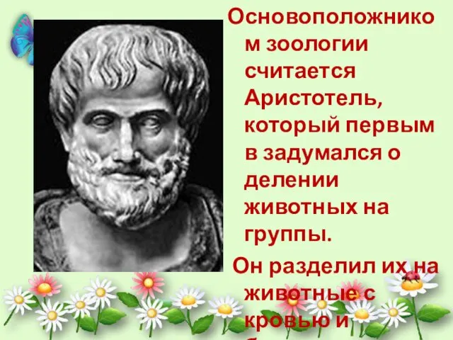 Основоположником зоологии считается Аристотель, который первым в задумался о делении