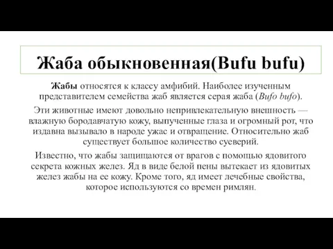 Жаба обыкновенная(Bufu bufu) Жабы относятся к классу амфибий. Наиболее изученным представителем семейства жаб