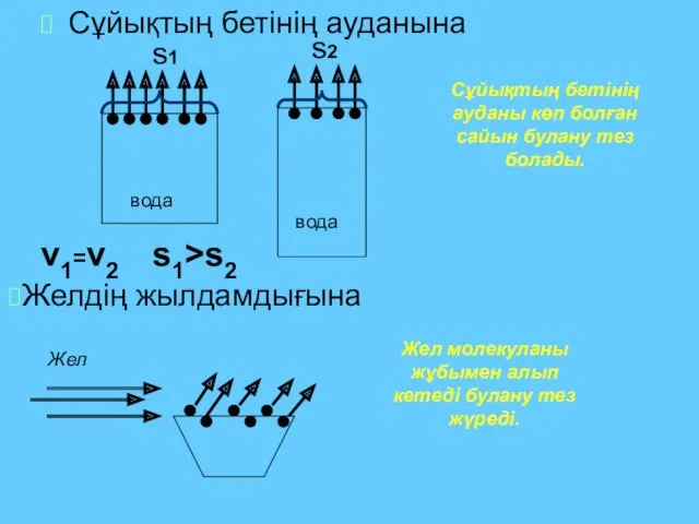 Сұйықтың бетінің ауданына вода вода v1=v2 Сұйықтың бетінің ауданы көп