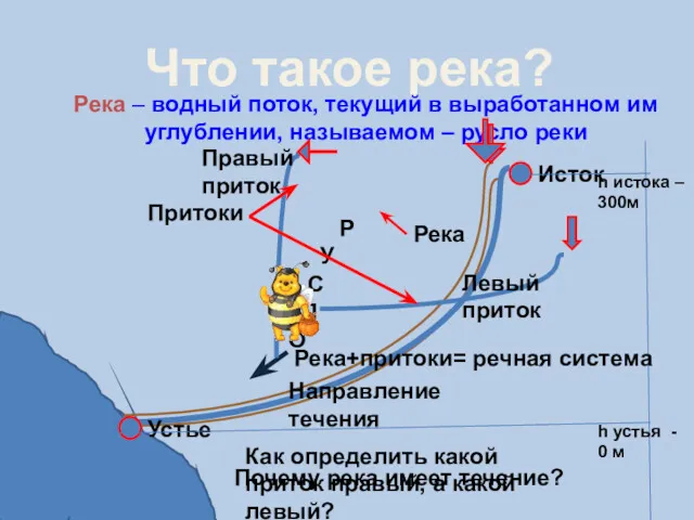 Что такое река? Река – водный поток, текущий в выработанном им углублении, называемом