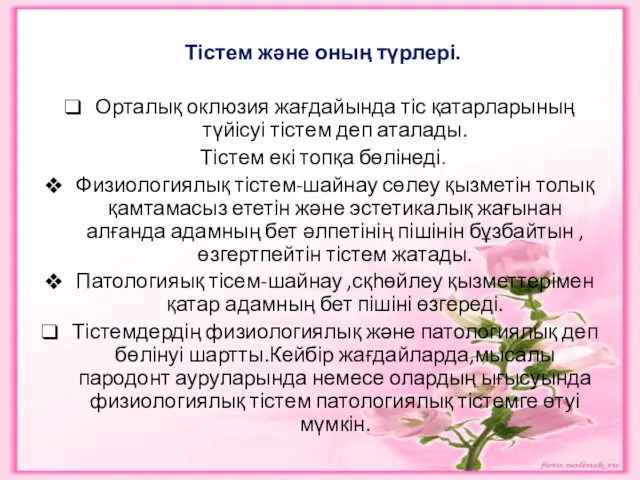 Тістем және оның түрлері. Орталық оклюзия жағдайында тіс қатарларының түйісуі