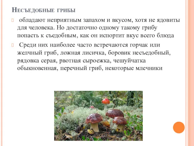 Несъедобные грибы обладают неприятным запахом и вкусом, хотя не ядовиты