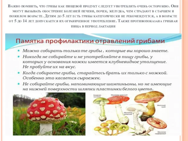 Важно помнить, что грибы как пищевой продукт следует употреблять очень