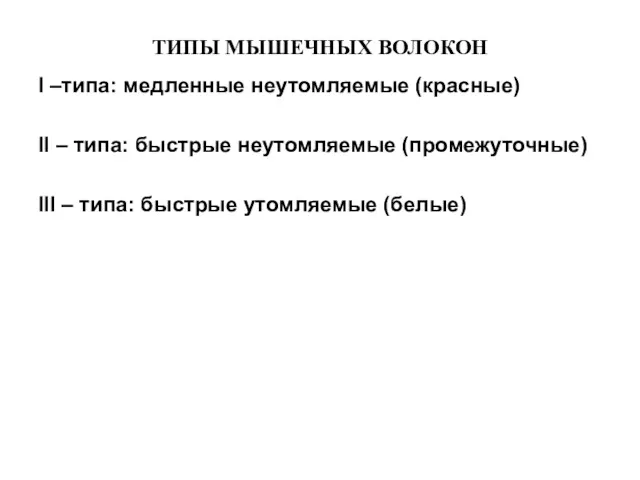 ТИПЫ МЫШЕЧНЫХ ВОЛОКОН I –типа: медленные неутомляемые (красные) II –