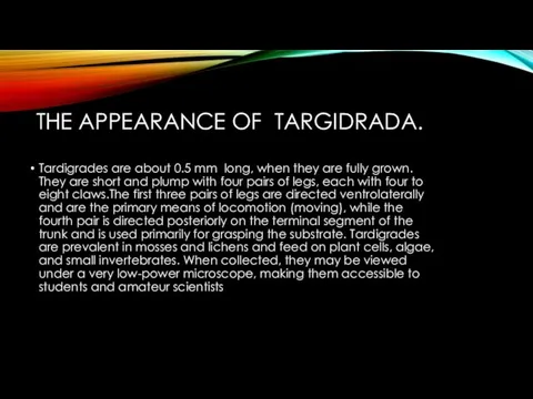 THE APPEARANCE OF TARGIDRADA. Тardigrades are about 0.5 mm long,