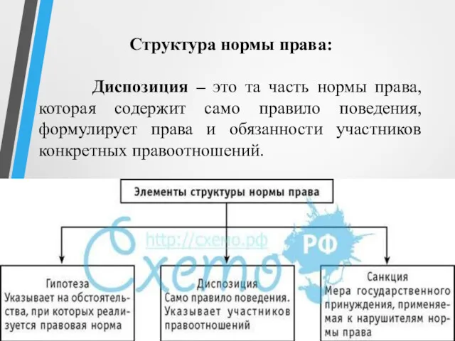 Структура нормы права: Диспозиция – это та часть нормы права, которая содержит само