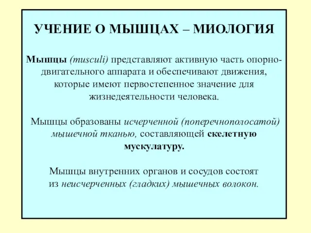 УЧЕНИЕ О МЫШЦАХ – МИОЛОГИЯ Мышцы (musculi) представляют активную часть