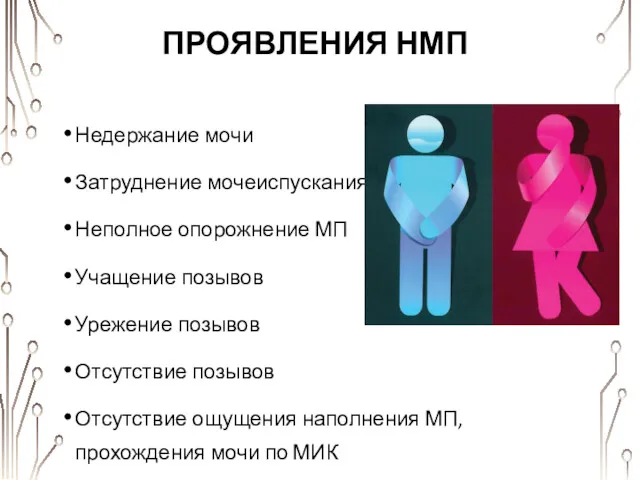 ПРОЯВЛЕНИЯ НМП Недержание мочи Затруднение мочеиспускания Неполное опорожнение МП Учащение