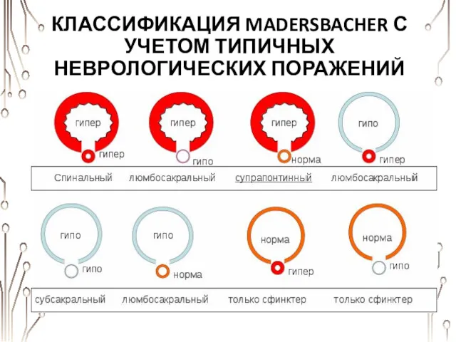 КЛАССИФИКАЦИЯ MADERSBACHER С УЧЕТОМ ТИПИЧНЫХ НЕВРОЛОГИЧЕСКИХ ПОРАЖЕНИЙ