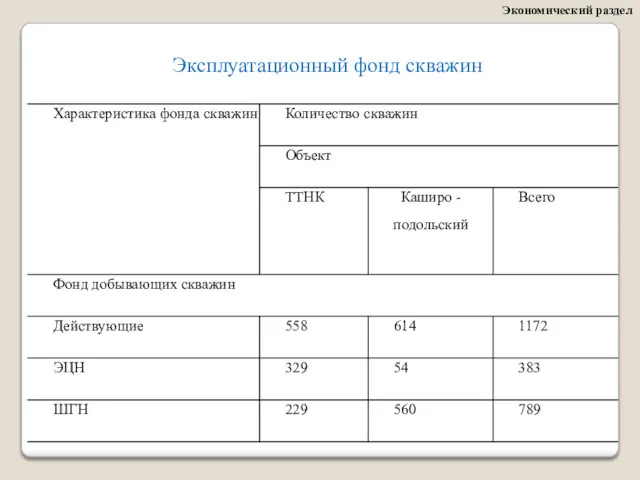 Экономический раздел Эксплуатационный фонд скважин