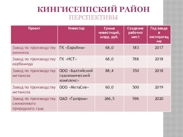 КИНГИСЕППСКИЙ РАЙОН ПЕРСПЕКТИВЫ