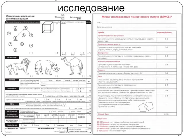 Нейропсихологическое исследование