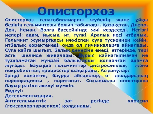 Описторхоз Описторхоз гепатобиллиарлы жүйенің және ұйқы безінің гельминтозы болып табылады.