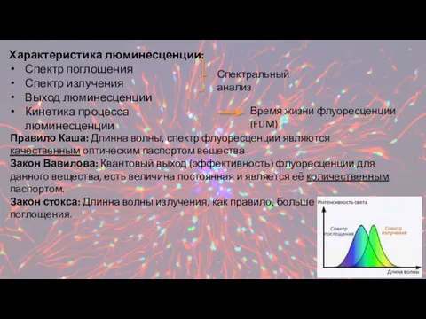 Характеристика люминесценции: Спектр поглощения Спектр излучения Выход люминесценции Кинетика процесса люминесценции Время жизни