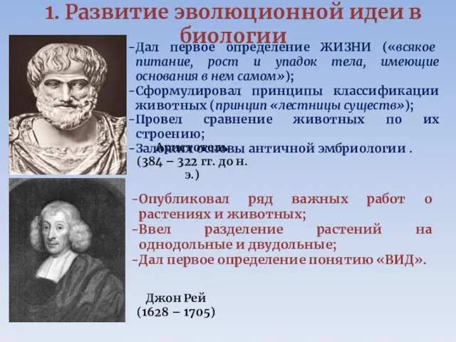 1. Развитие эволюционной идеи в биологии Аристотель (384 – 322