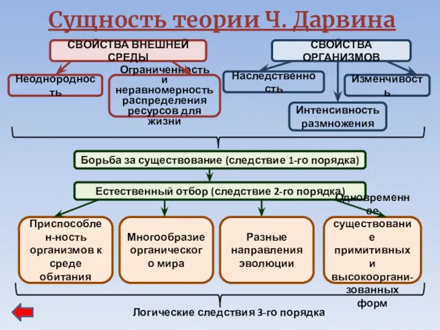 Сущность теории Ч. Дарвина СВОЙСТВА ВНЕШНЕЙ СРЕДЫ СВОЙСТВА ОРГАНИЗМОВ Ограниченность