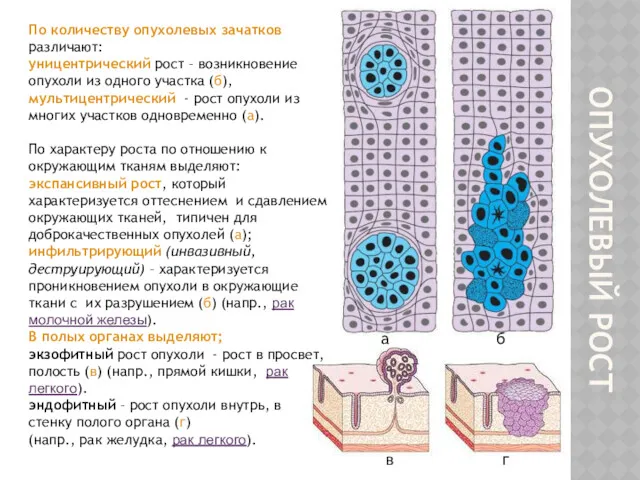 ОПУХОЛЕВЫЙ РОСТ По количеству опухолевых зачатков различают: уницентрический рост –