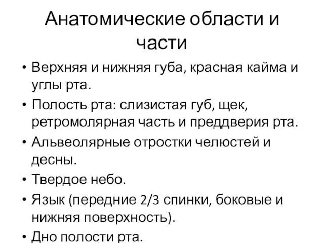 Анатомические области и части Верхняя и нижняя губа, красная кайма