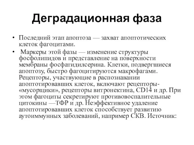 Деградационная фаза Последний этап апоптоза — захват апоптотических клеток фагоцитами.