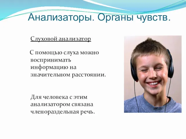 Анализаторы. Органы чувств. Слуховой анализатор С помощью слуха можно воспринимать