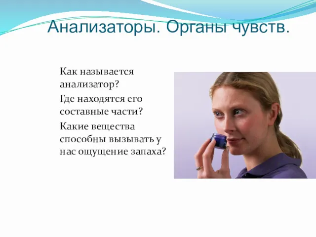 Анализаторы. Органы чувств. Как называется анализатор? Где находятся его составные