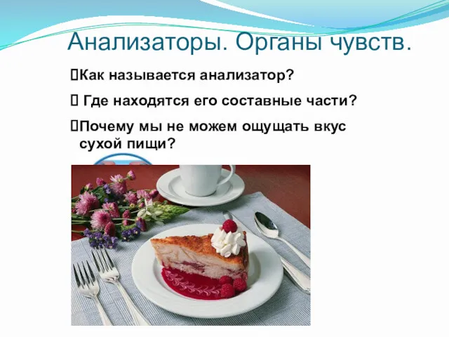 Анализаторы. Органы чувств. Как называется анализатор? Где находятся его составные