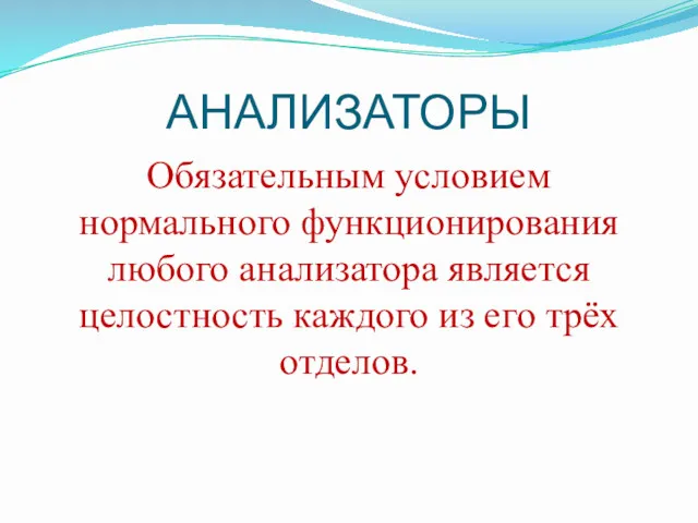 АНАЛИЗАТОРЫ Обязательным условием нормального функционирования любого анализатора является целостность каждого из его трёх отделов.