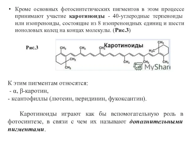 Кроме основных фотосинтетических пигментов в этом процессе принимают участие каротиноиды - 40-углеродные терпеноиды