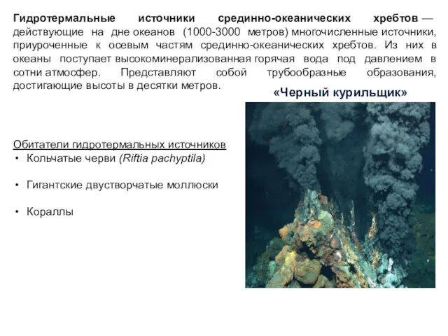 Гидротермальные источники срединно-океанических хребтов — действующие на дне океанов (1000-3000