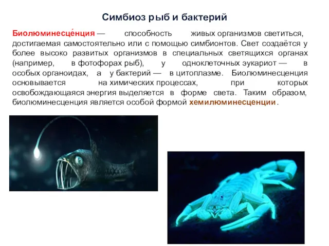 Биолюминесце́нция — способность живых организмов светиться, достигаемая самостоятельно или с