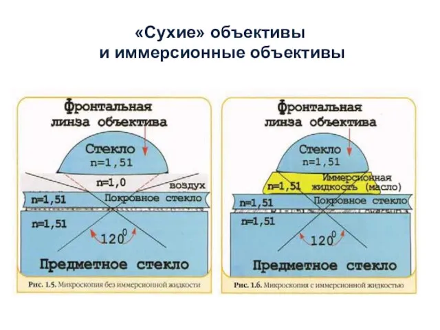 «Сухие» объективы и иммерсионные объективы