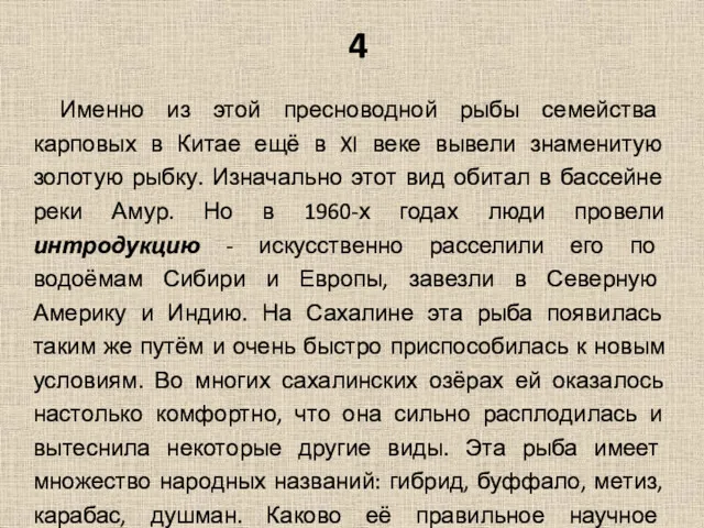 4 Именно из этой пресноводной рыбы семейства карповых в Китае