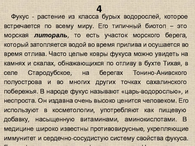 4 Фукус - растение из класса бурых водорослей, которое встречается