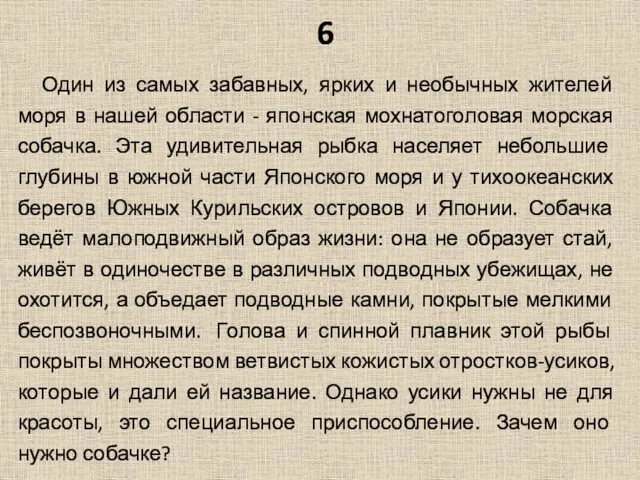 6 Один из самых забавных, ярких и необычных жителей моря