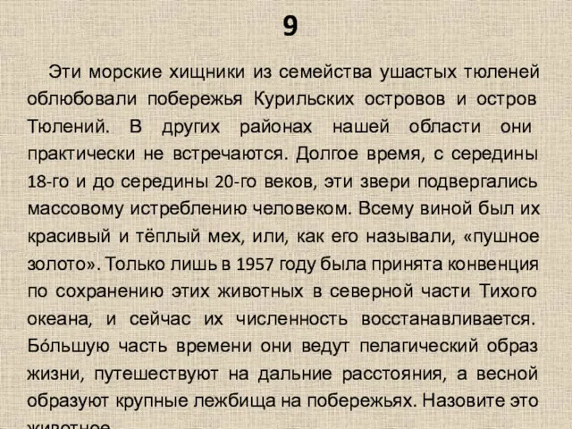 9 Эти морские хищники из семейства ушастых тюленей облюбовали побережья