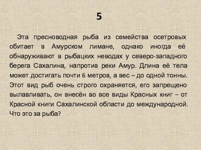 5 Эта пресноводная рыба из семейства осетровых обитает в Амурском