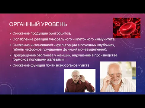 ОРГАННЫЙ УРОВЕНЬ Снижение продукции эритроцитов; Ослабление реакций гуморального и клеточного