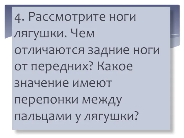 4. Рассмотрите ноги лягушки. Чем отличаются задние ноги от передних?