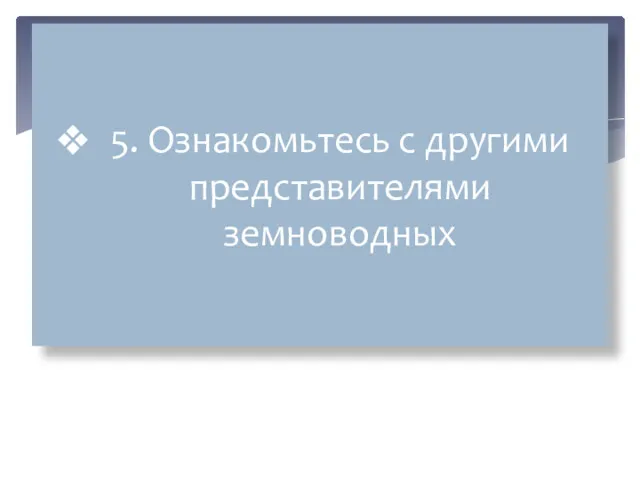 5. Ознакомьтесь с другими представителями земноводных