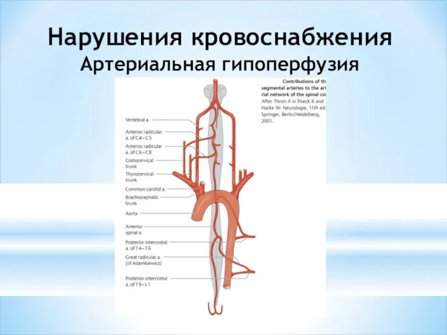 Нарушения кровоснабжения Артериальная гипоперфузия