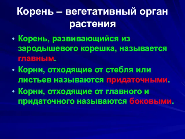 Корень – вегетативный орган растения Корень, развивающийся из зародышевого корешка,