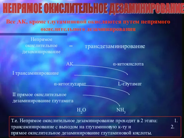 НЕПРЯМОЕ ОКИСЛИТЕЛЬНОЕ ДЕЗАМИНИРОВАНИЕ Все АК, кроме глутаминовой окисляются путем непрямого