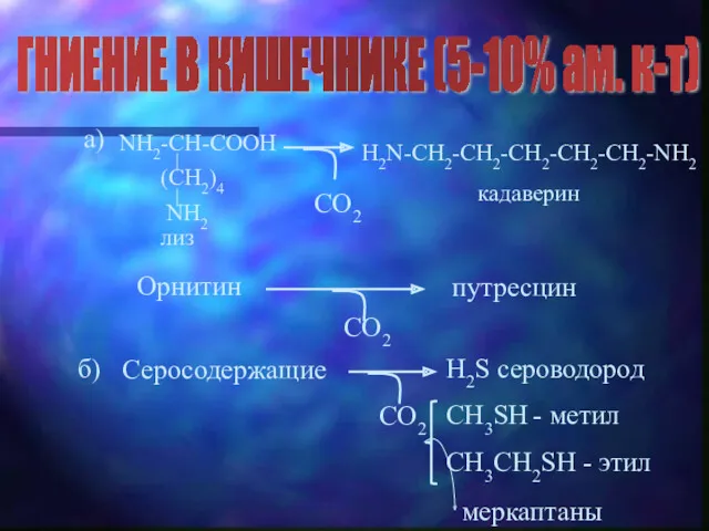 ГНИЕНИЕ В КИШЕЧНИКЕ (5-10% ам. к-т) а) CO2 Орнитин CO2